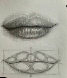 pencil drawings of lips and the shape of their mouths, with different angles to draw them