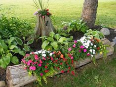 some flowers are growing in a wooden planter on the side of a tree stump