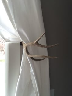 an antler's head hangs on the curtain