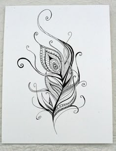 a black and white drawing of a peacock's feather on a piece of paper