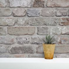 a small potted plant sitting on top of a white shelf next to a brick wall