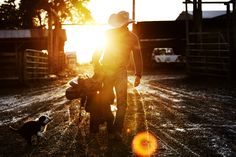 a man and his dog are walking in the sun down on their farm land, with an orange frisbee nearby