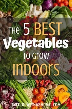 the 5 best vegetables to grow indoors