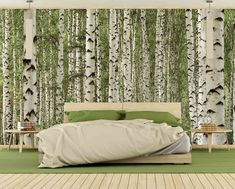 a bed sitting in front of a forest filled with white birch tree wallpapers