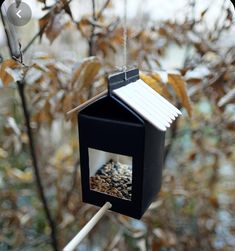 a bird feeder hanging from a tree branch