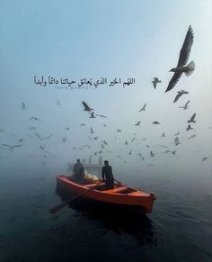 two people in a red boat surrounded by seagulls on a foggy day