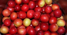 a bucket full of apples sitting on top of a table