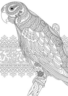 an owl sitting on top of a tree branch with intricate designs around its body and head