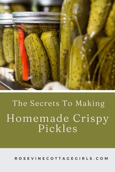 the secrets to making homemade crispy pickles