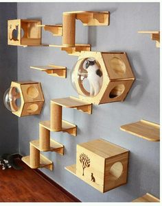 several wooden shelves with cats in them on the wall