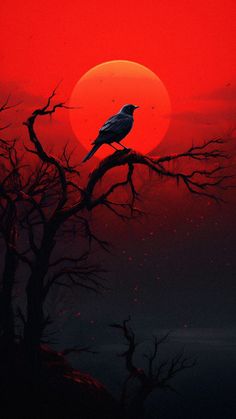 a black bird sitting on top of a tree branch in front of a red sun