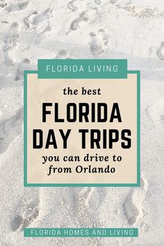 the best florida day trips you can drive to from orlando, florida and living