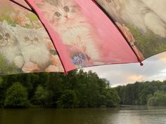 three umbrellas with pictures of cats on them are hanging over the water's edge