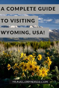 Mountains and spring flowers with text: A Complete Guide to Visiting Wyoming, USA! Yellowstone Vacation Planning, Wyoming Ranch, Yellowstone Vacation, Wyoming State, Fast Facts