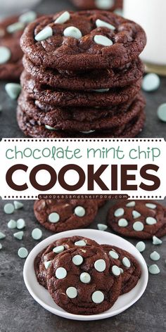 Bake Chocolate Mint Chip Cookies for a festive holiday baking recipe! These easy Christmas cookies feature mint chocolate chips and are sure to become a family favorite. Get ready to enjoy this vegetarian treat today! Chocolate Mint Chip Cookies, Cookie Exchange Ideas, Mint Chip Cookies, Unique Christmas Cookies, Chocolate Mint Cookies, Delicious Christmas Desserts, Chewy Chocolate Cookies