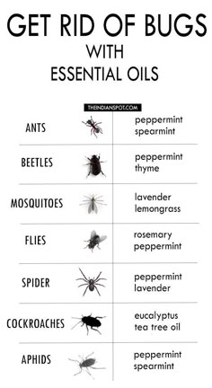 Bug Spray Recipe, Essential Oils Guide, Living Essentials Oils, Bug Repellent, Bug Spray, Household Cleaning Tips, Natural Cleaning, Aromatherapy Oils