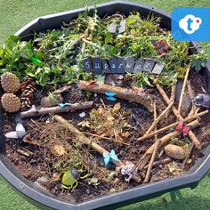 a potted planter filled with lots of different types of plants and twigs in it