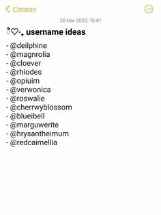 an iphone screenshot with the caption'catatan username ideas '