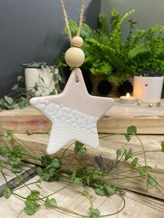 a ceramic star ornament hanging from a string on a table next to potted plants