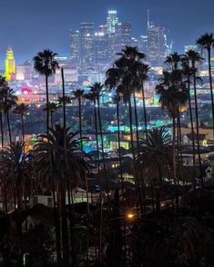 palm trees in front of the city skyline at night