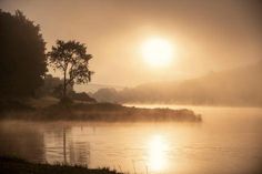 the sun is setting over a body of water with mist on it and trees in the background