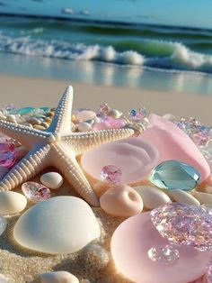 starfish, seashells and other sea shells on the beach