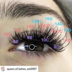 Image may contain: one or more people and closeup Eyelash Extensions Salons, Permanent Eyelashes, Lash Tricks, Eyelash Salon, Eyelash Extensions Styles, Lash Extensions Styles, Eyelash Extentions, Lashes Beauty, Beautiful Lashes