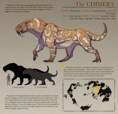 an info sheet showing the different types of dinosaurs