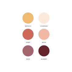 the different shades of lipstick on a white background with text that says, what are they?