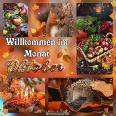 a collage of pictures with autumn leaves and animals in them that say, willkommen im monat mittaber