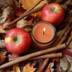 two apples sitting next to each other on top of leaves and twigs with a candle in the middle