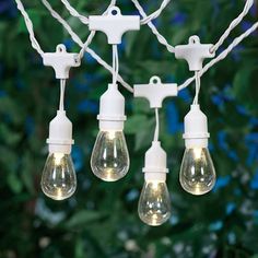 several light bulbs are hanging from a string in front of some trees and bushes with green leaves behind them