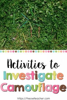 the words activities to investigate camouflage in front of green grass with straws on it