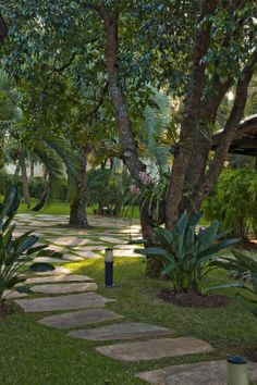 a stone path in the middle of a lush green park with lots of trees and plants