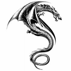 a black and white drawing of a dragon