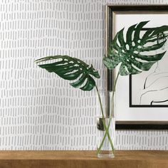 two large green leaves in a clear vase on a table next to a framed print