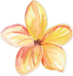 a watercolor drawing of a flower with yellow petals and red tips on the petals