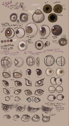 an image of various types of eyes