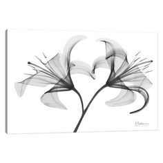 a black and white photo of flowers on a white background with the words love written below it