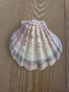 a seashell is sitting on a wooden surface