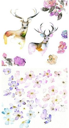 watercolor paintings of deer and flowers on white paper