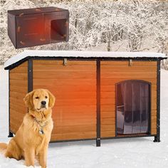 a dog sits in the snow next to his kennel