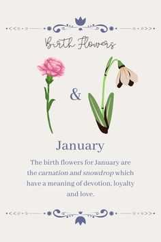 a card with flowers on it and the words birth flowers and january written in blue