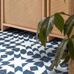 a potted plant sitting on top of a blue and white tiled floor next to a wooden cabinet