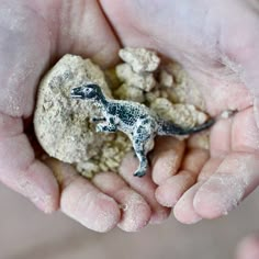 a small toy dinosaur in someone's hands with dirt on the ground behind it