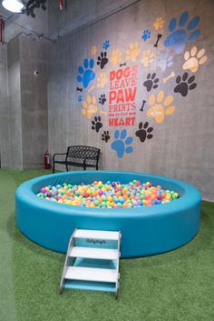 an inflatable dog pool with balls and water is on the floor next to a bench