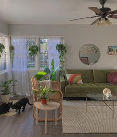 a living room filled with furniture and lots of plants on top of it's windows