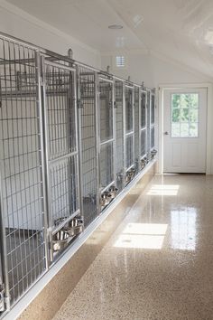 an empty hallway with lots of cages on the wall and doors to another room in the background