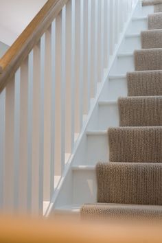 an image of a stair case with carpet on it