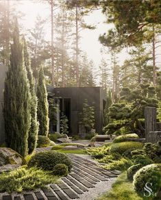 an outdoor garden with steps leading to the house in the distance, surrounded by trees and bushes